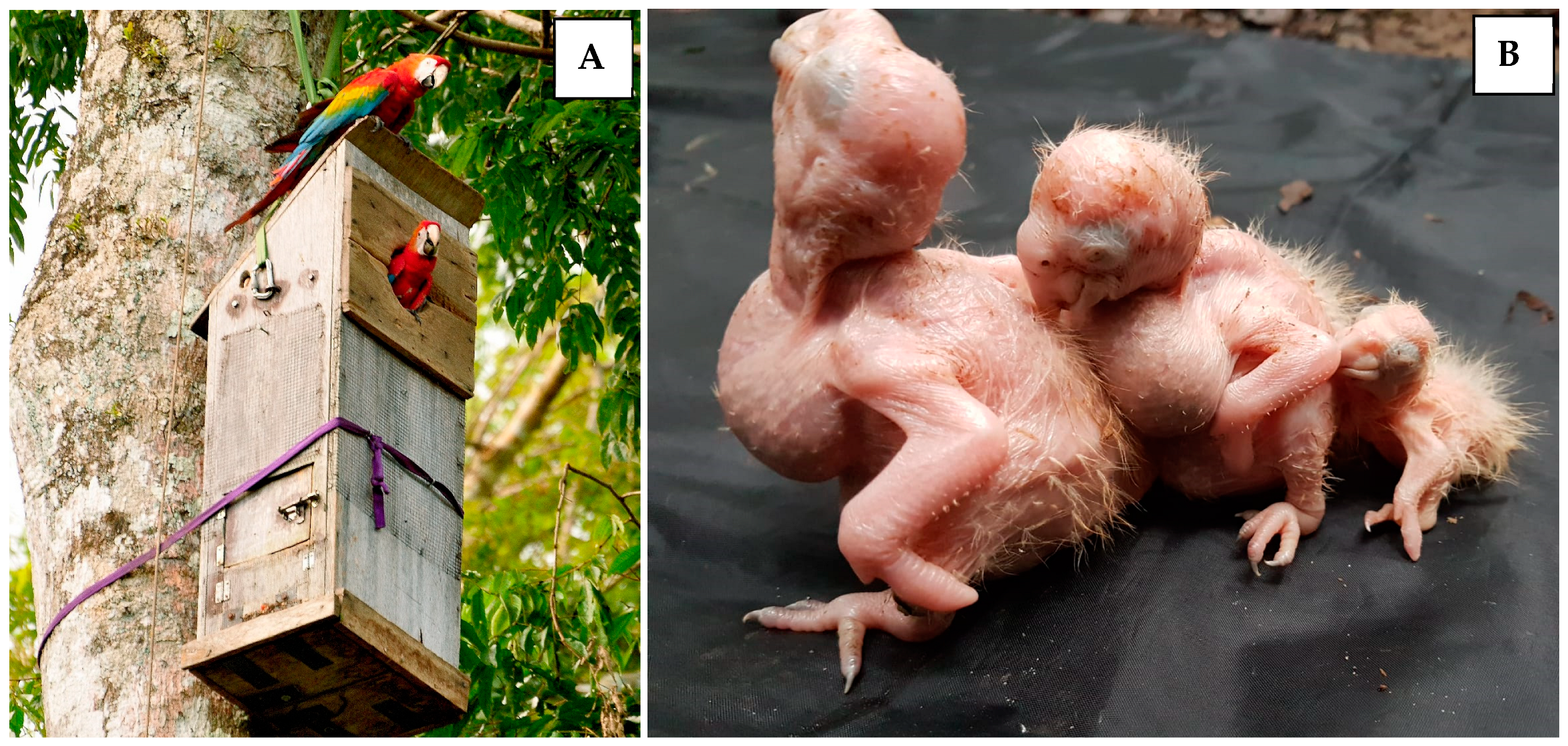 Diversity 16 00657 g001