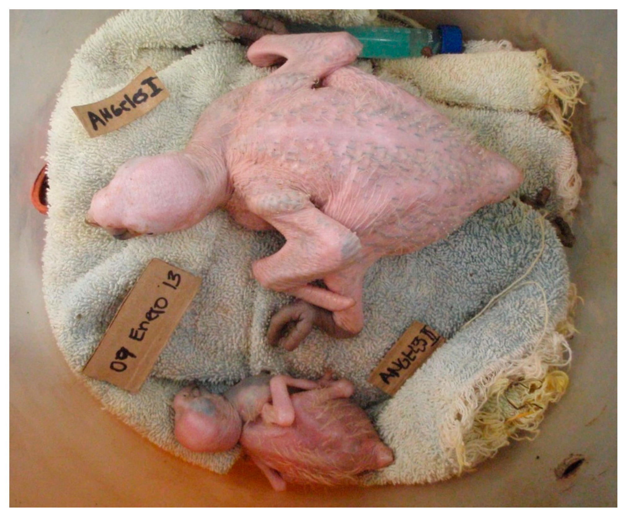 Diversity 16 00657 g003