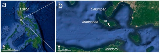 Diversity 16 00662 g002