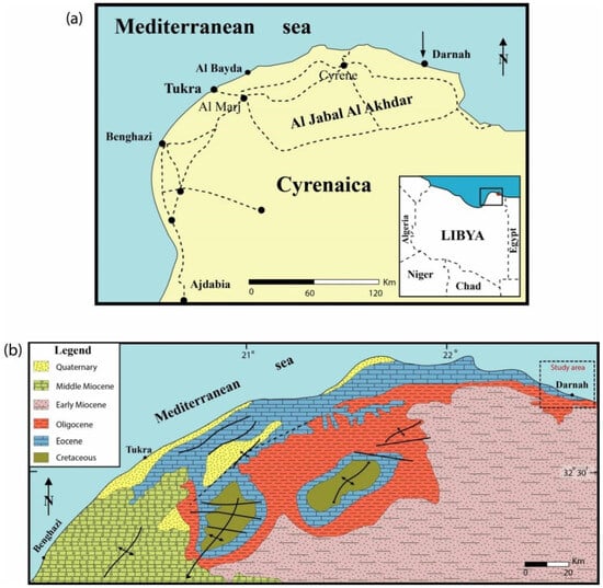 Diversity 16 00672 g001