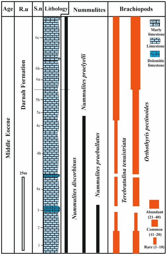 Diversity 16 00672 g004