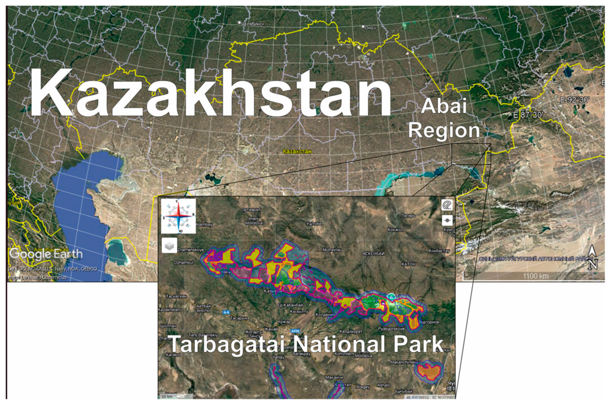 Diversity 16 00676 g001