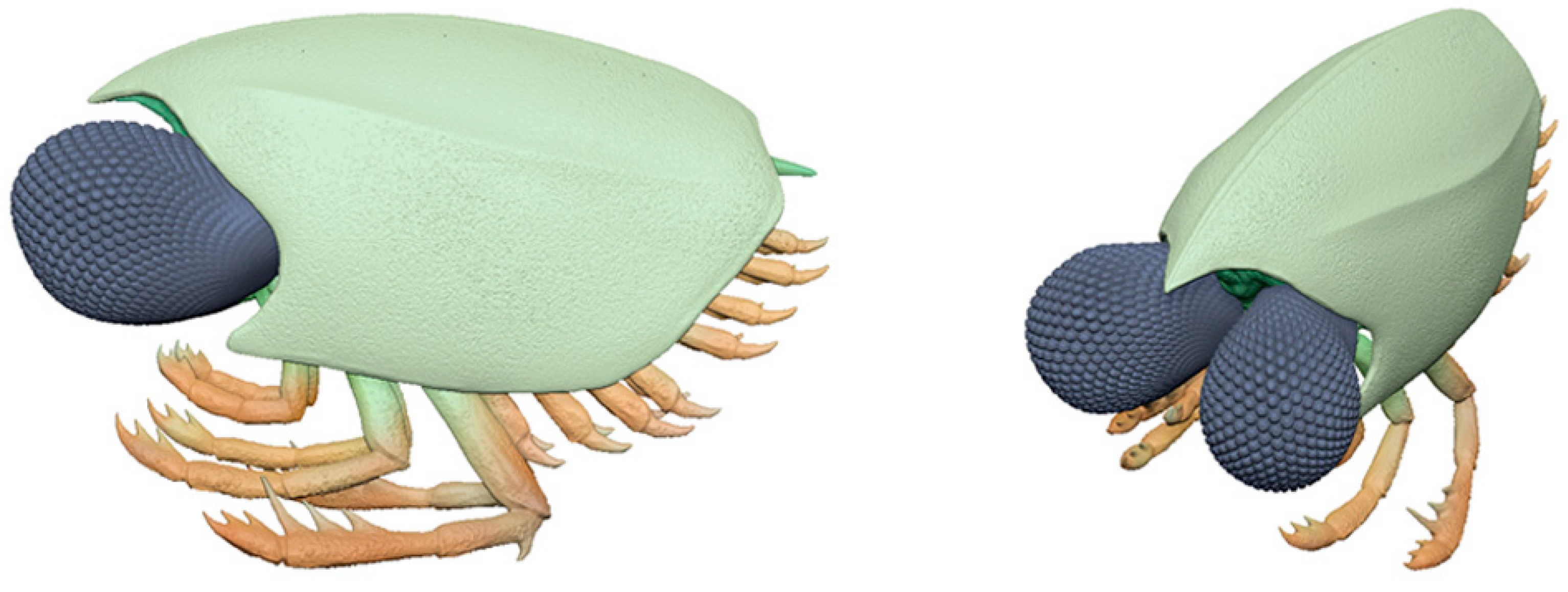 Diversity 16 00677 g005