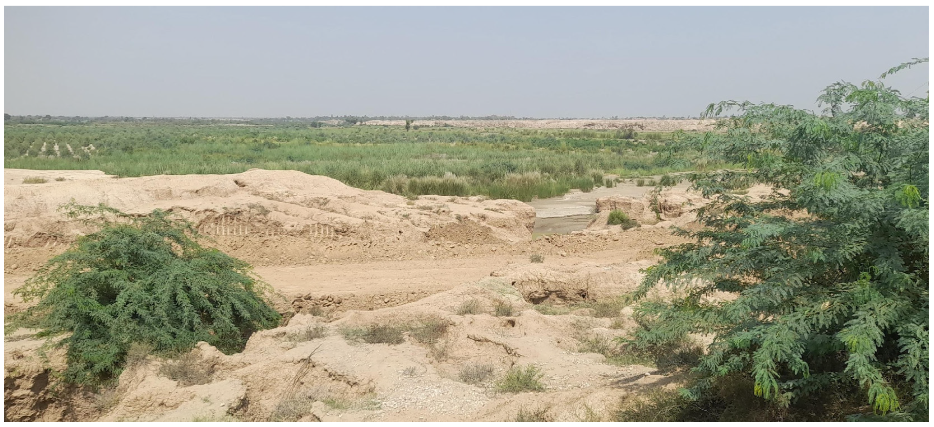 Diversity 16 00684 g001