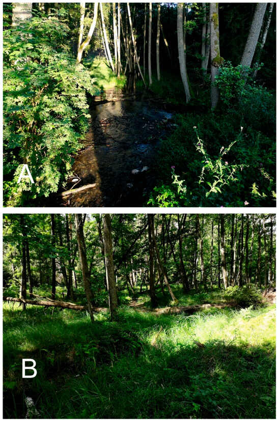 Diversity 16 00699 g0a3