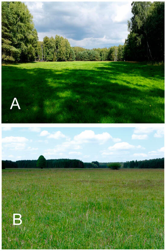 Diversity 16 00699 g0a5