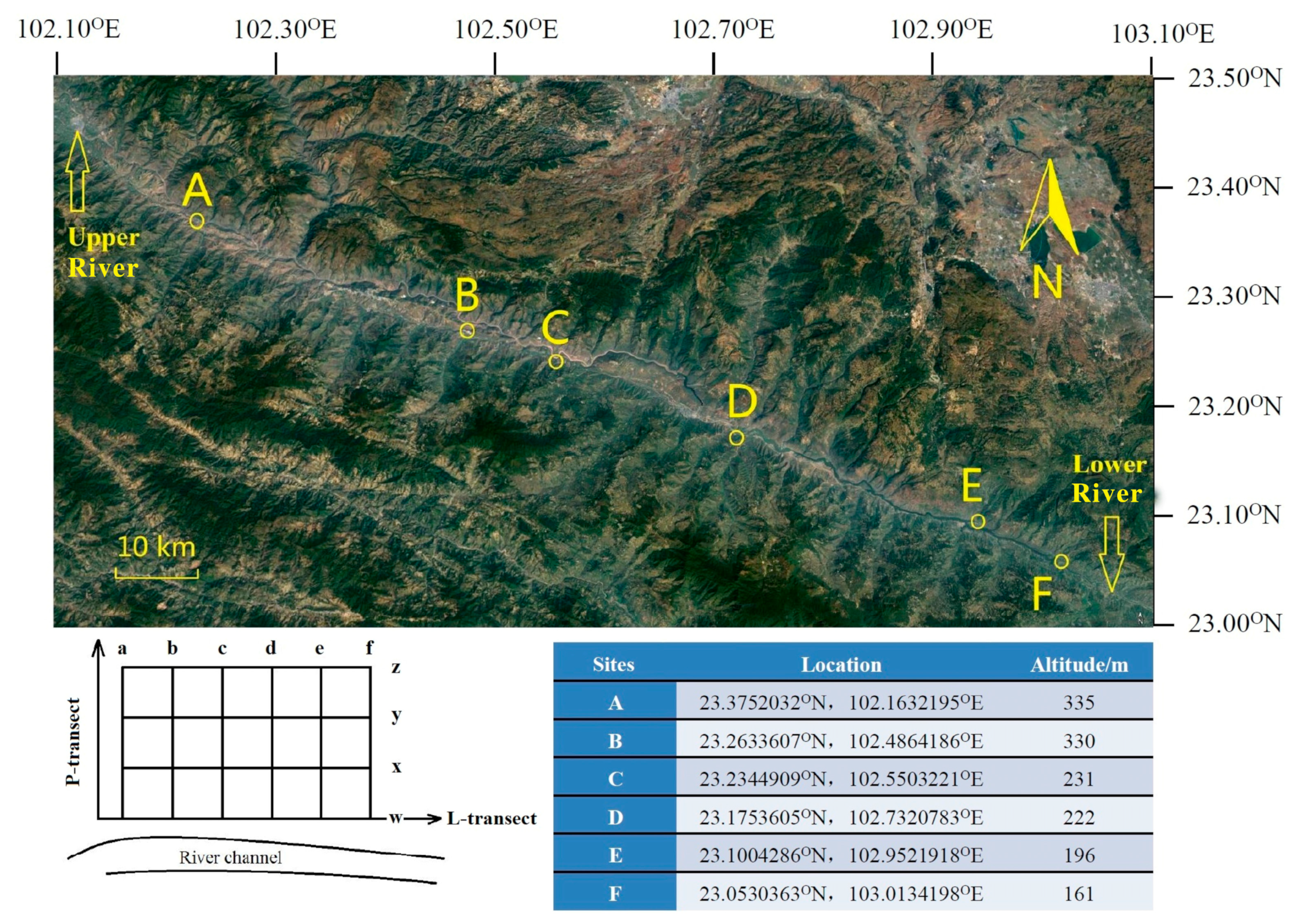 Diversity 16 00703 g002