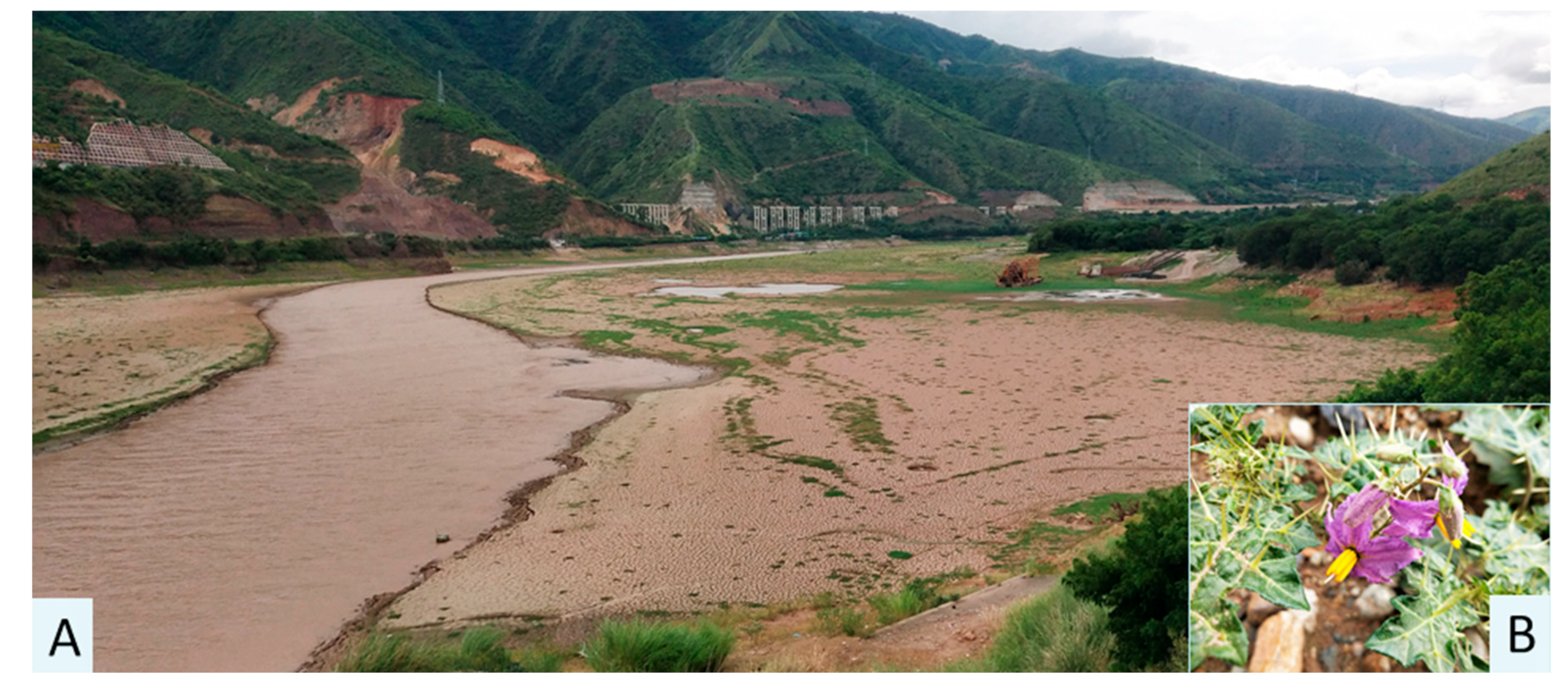 Diversity 16 00703 g007