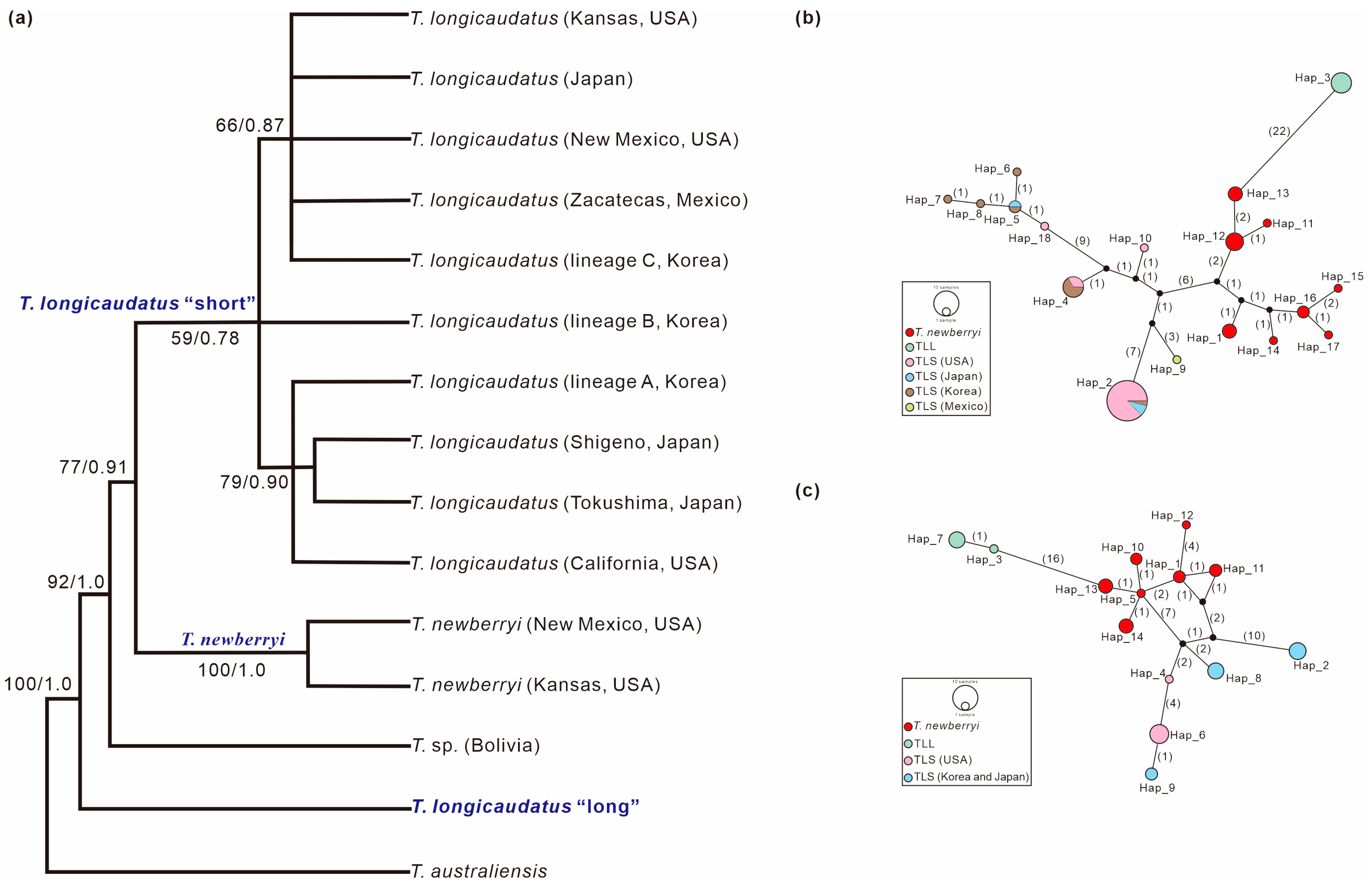 Diversity 16 00715 g002