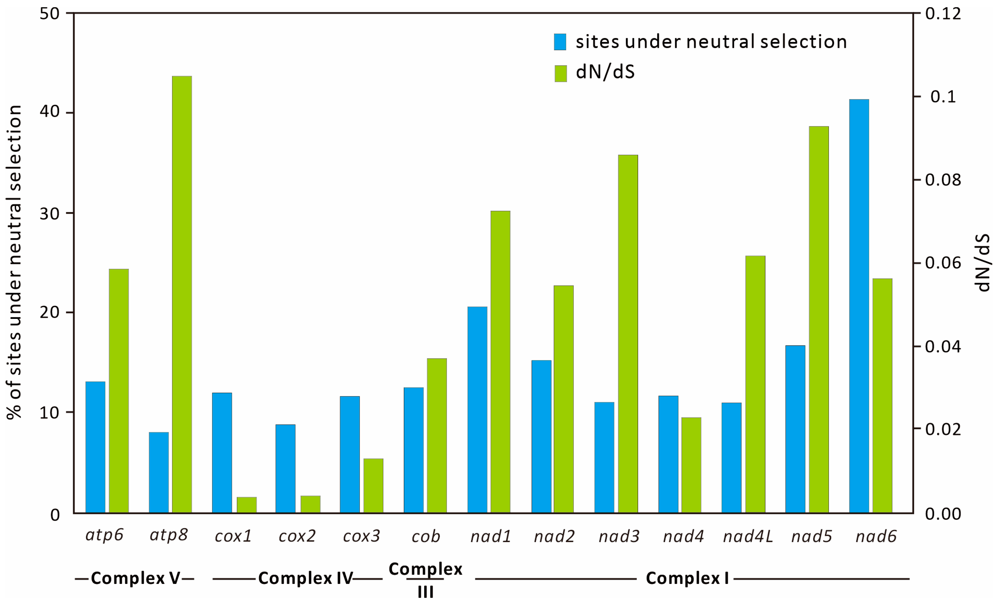 Diversity 16 00715 g004