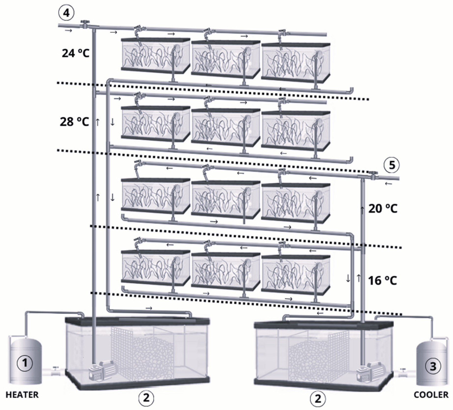 Diversity 16 00719 g001