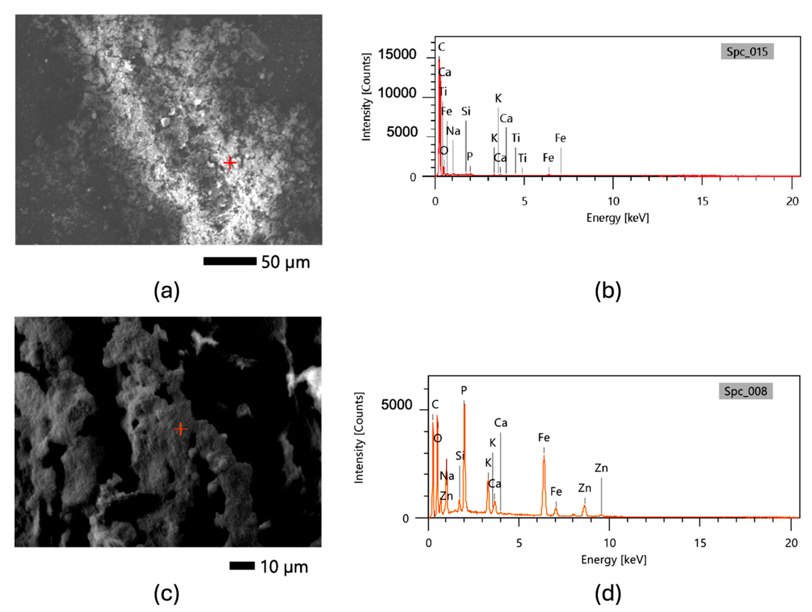 Rarefaction Examples Monitoring Microbial Diversity of Biofilms in Domestic Distribution ...