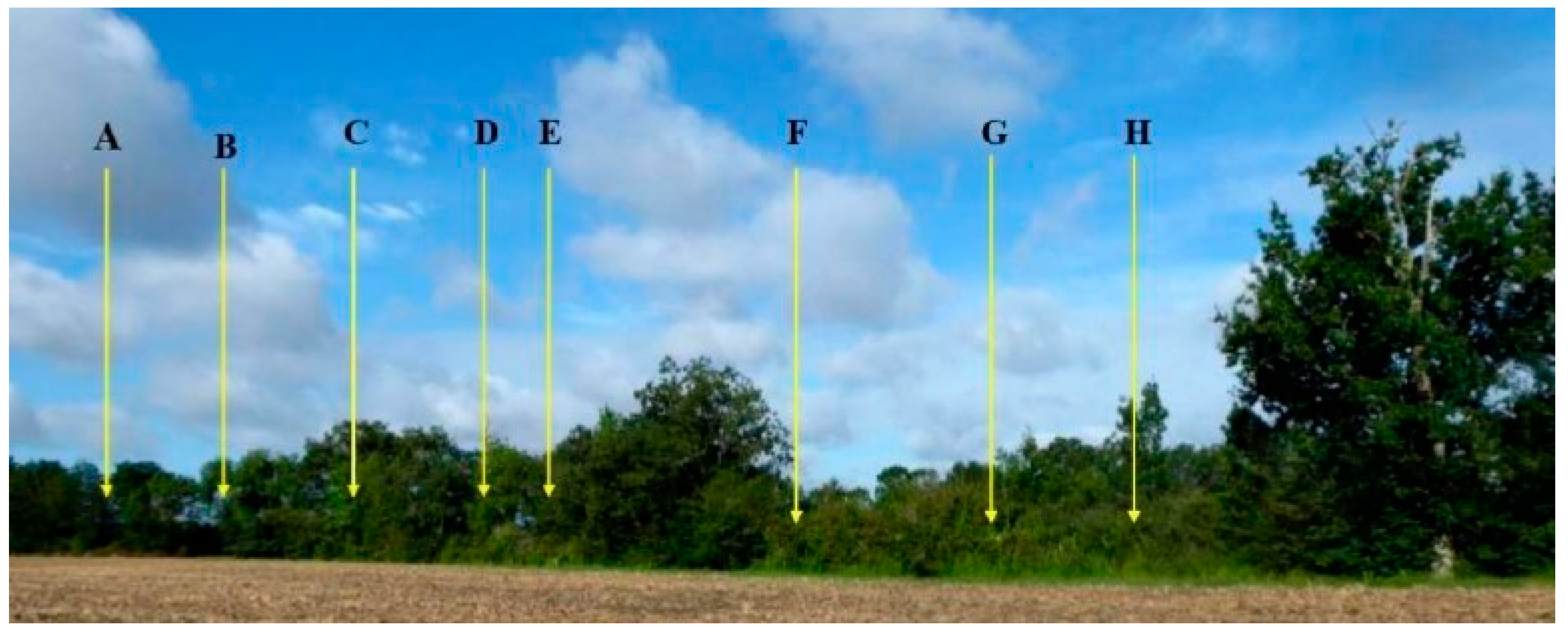 Diversity 16 00728 g001 Diversity 16 00728 g001