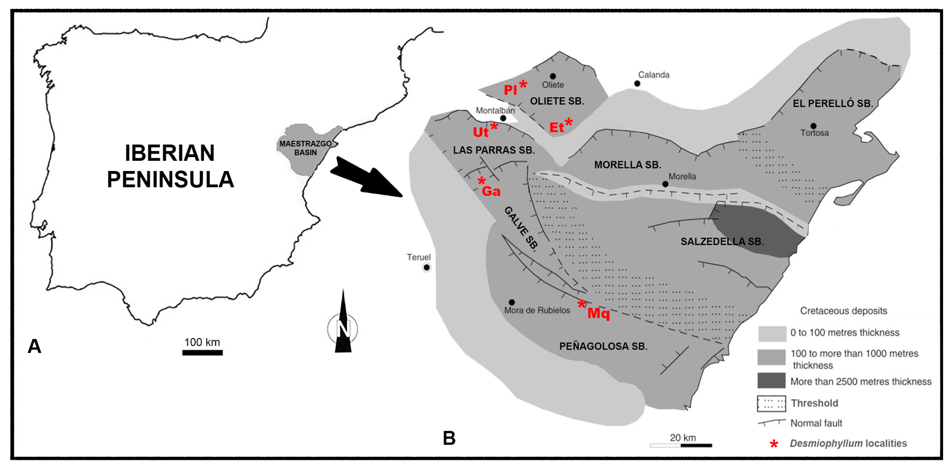 Diversity 16 00730 g001