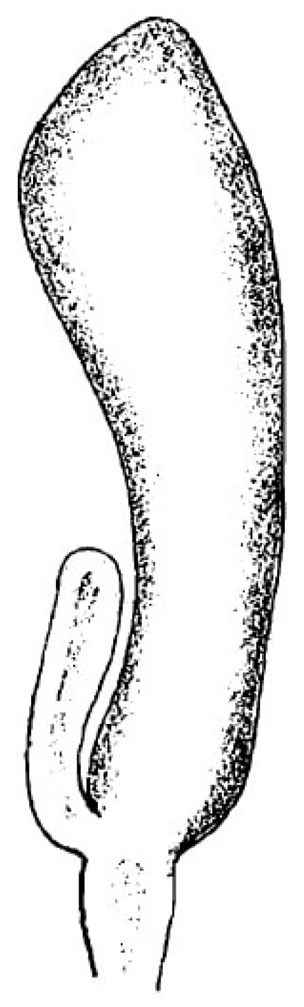 Diversity 16 00732 g001