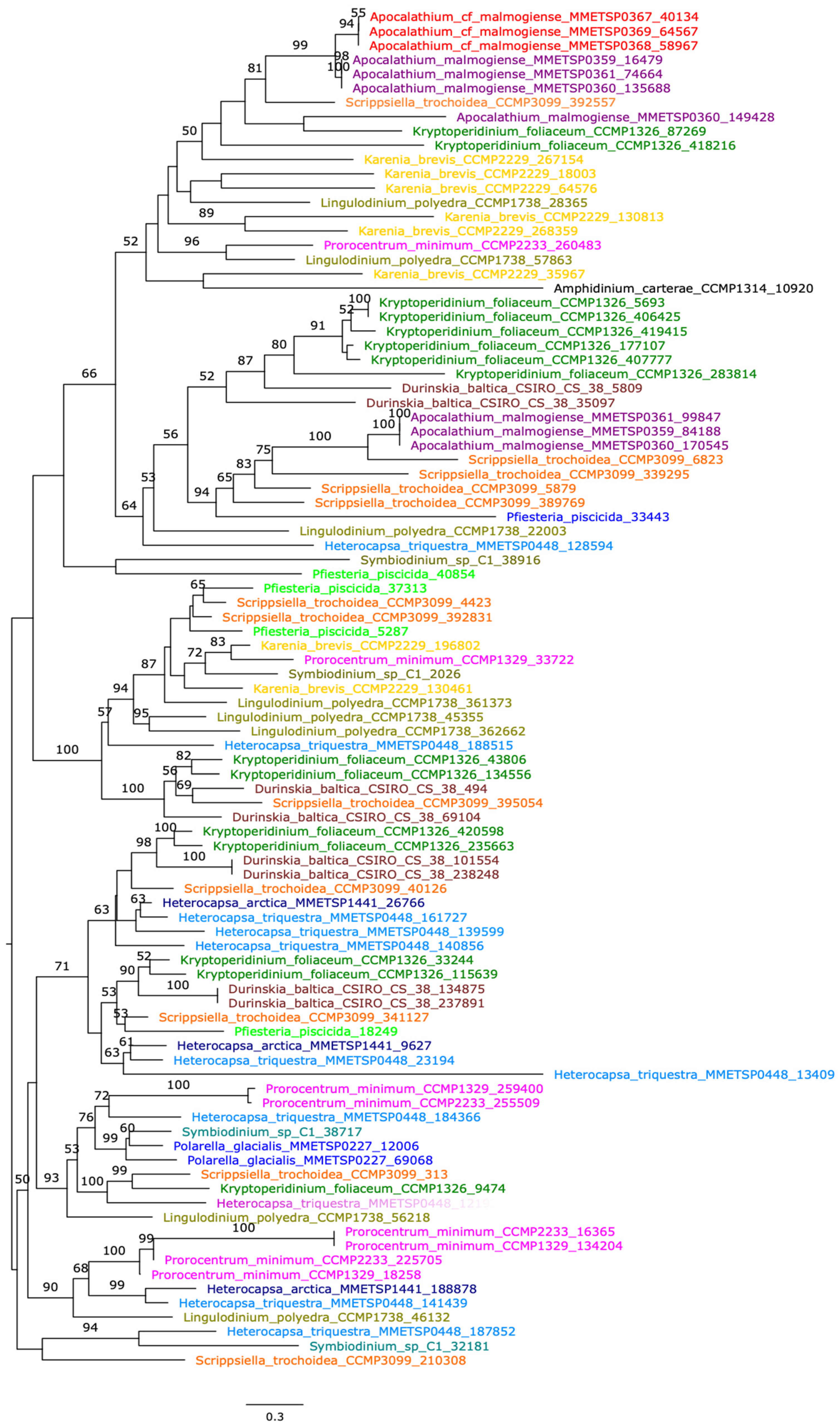 Diversity 16 00739 g003