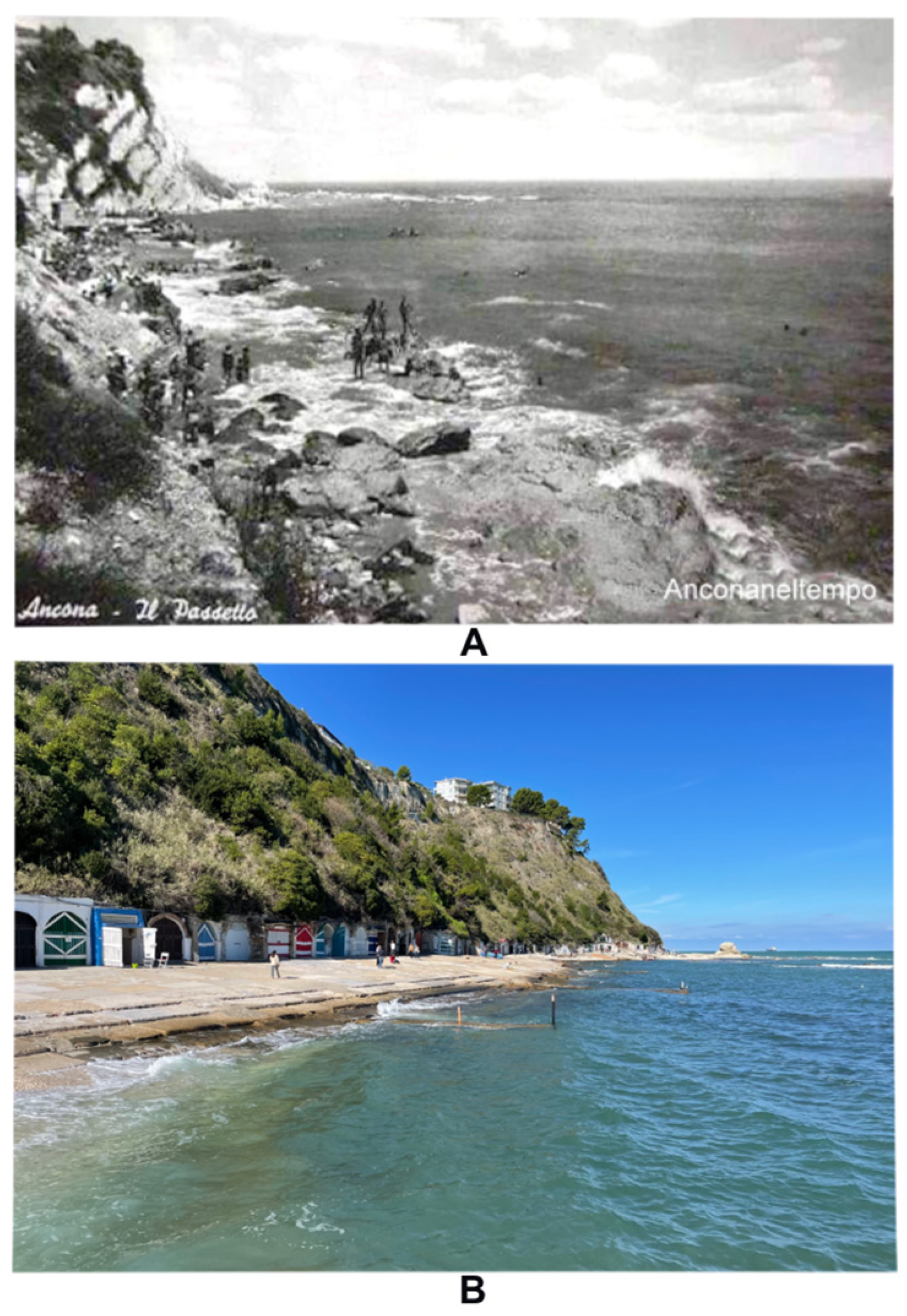 Diversity 16 00741 g002