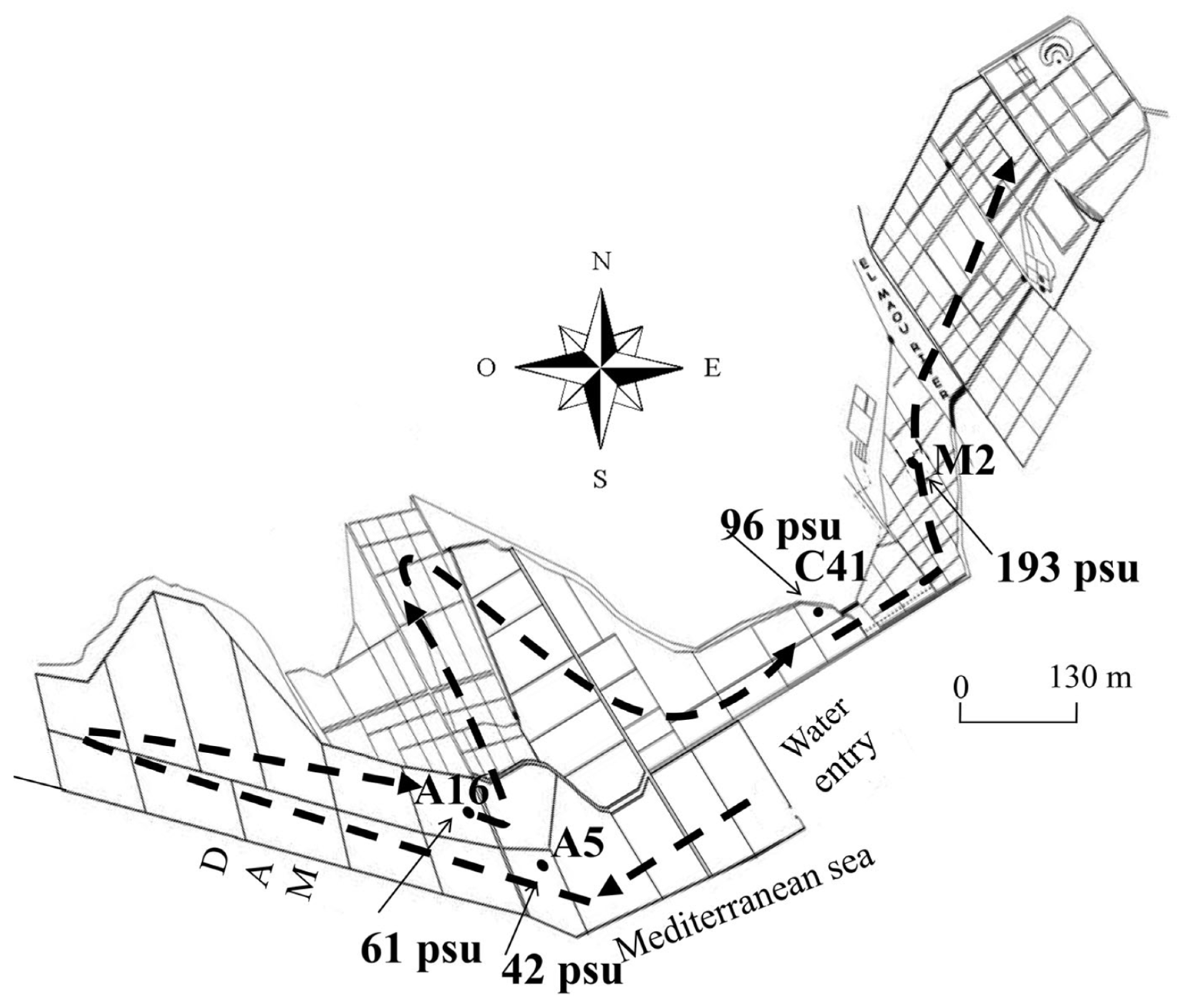 Diversity 16 00751 g001