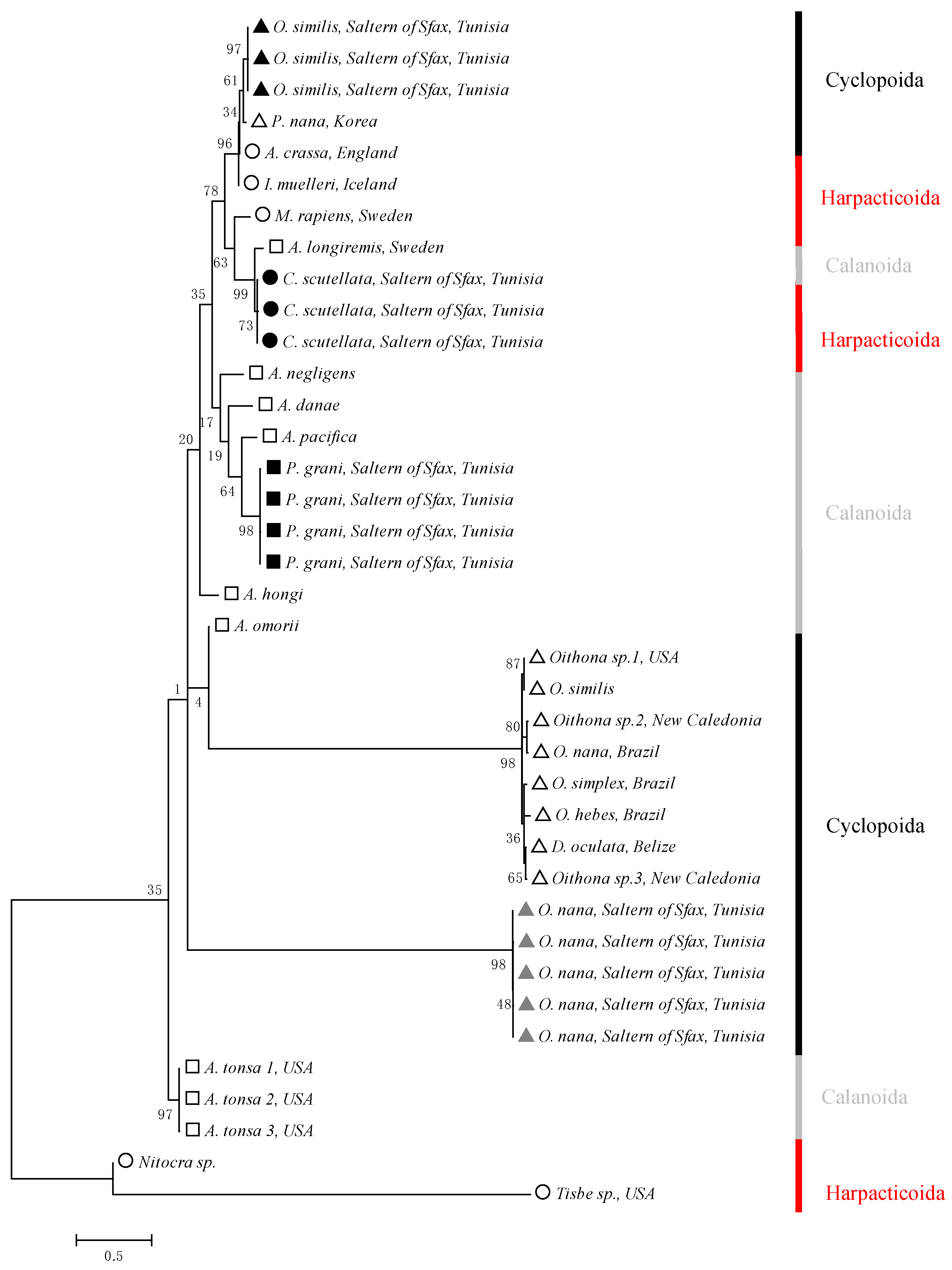 Diversity 16 00751 g002