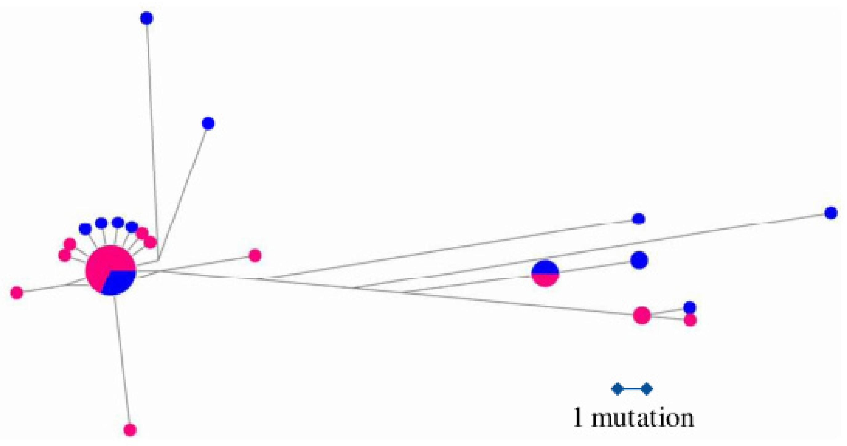 Diversity 16 00751 g003