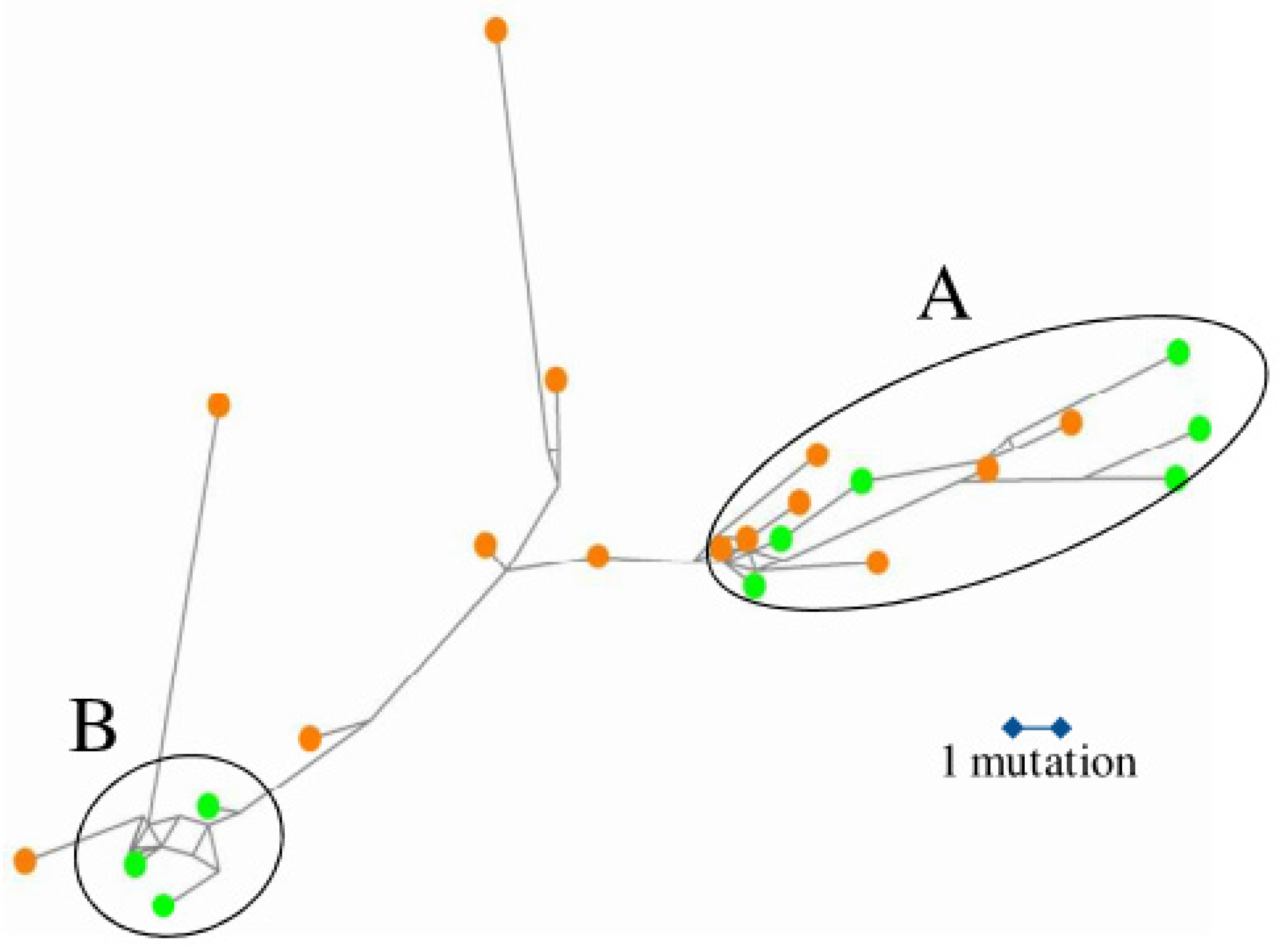 Diversity 16 00751 g005