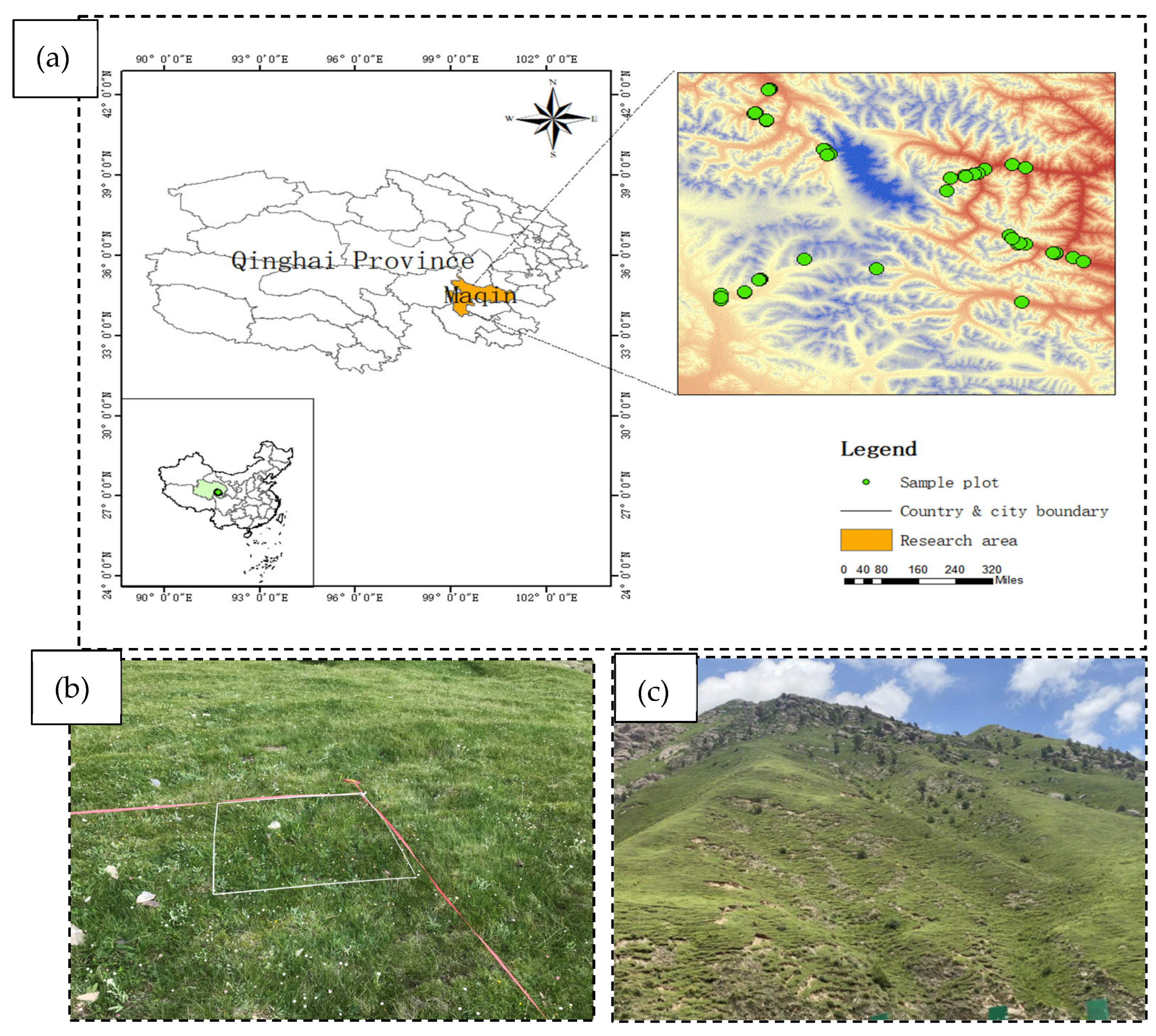 Diversity 16 00755 g001 Diversity 16 00755 g001