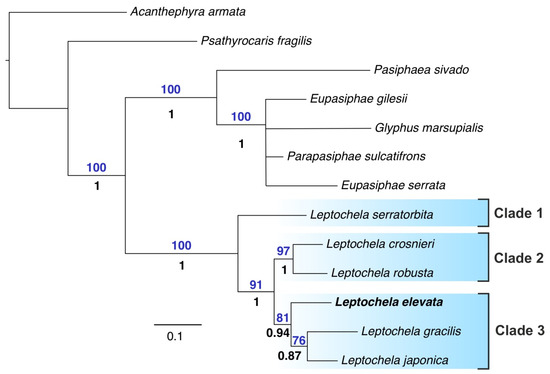 Diversity 16 00760 g004
