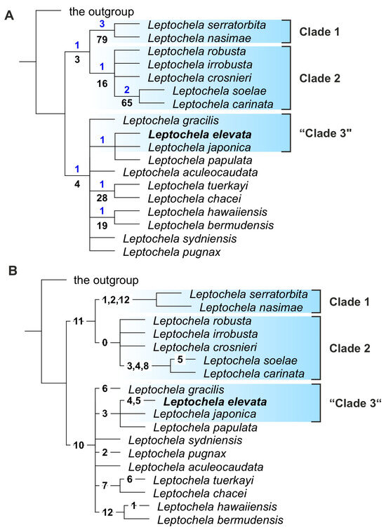 Diversity 16 00760 g005