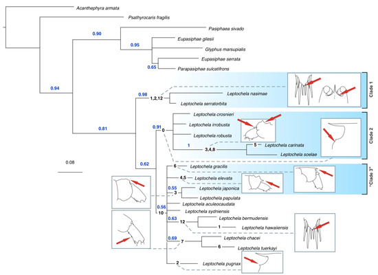 Diversity 16 00760 g006