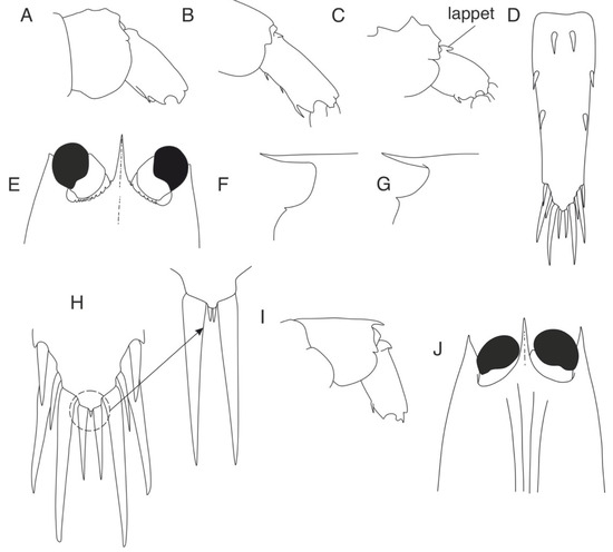 Diversity 16 00760 g008