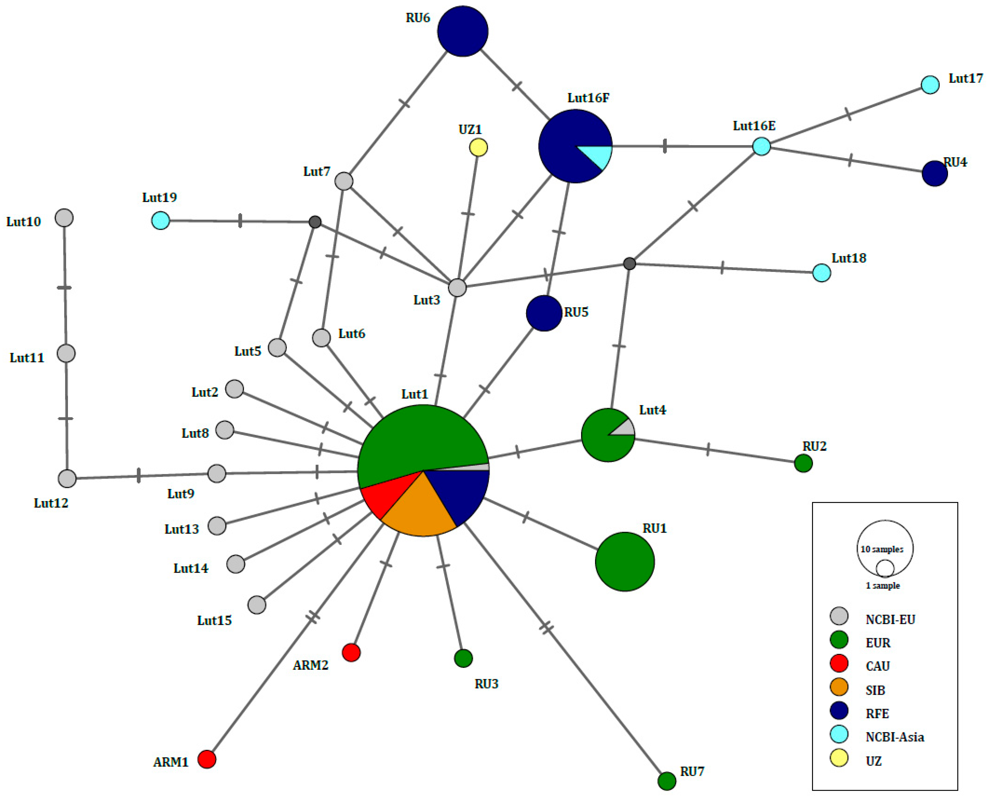 Diversity 16 00764 g002