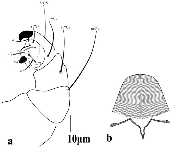 Diversity 16 00765 g003