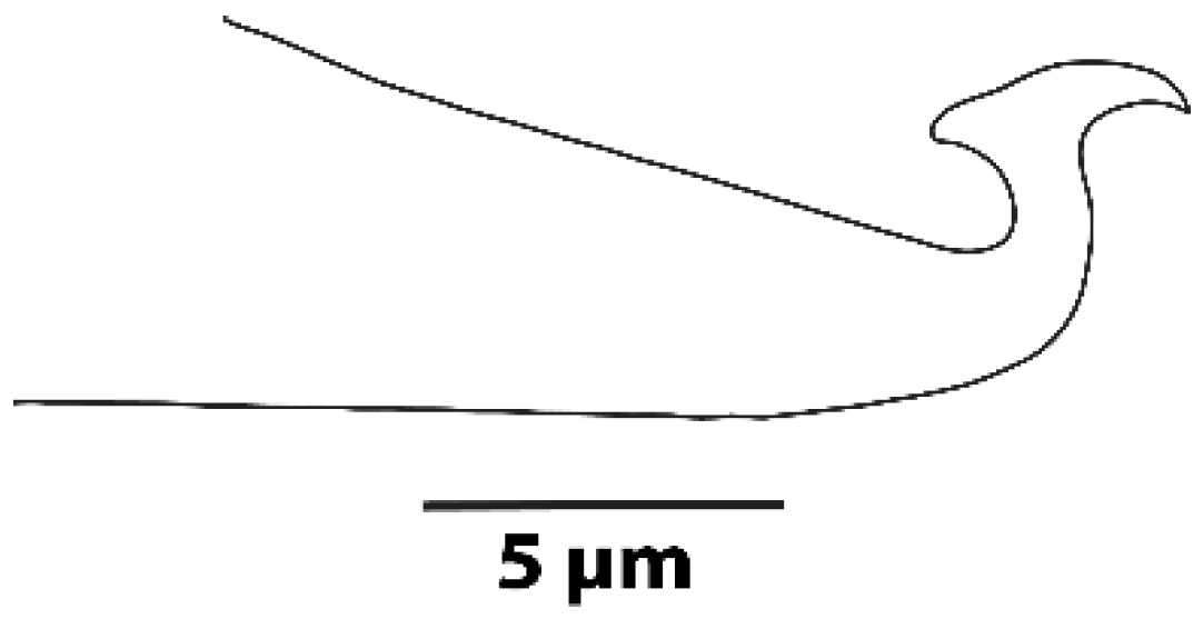 Diversity 16 00765 g007