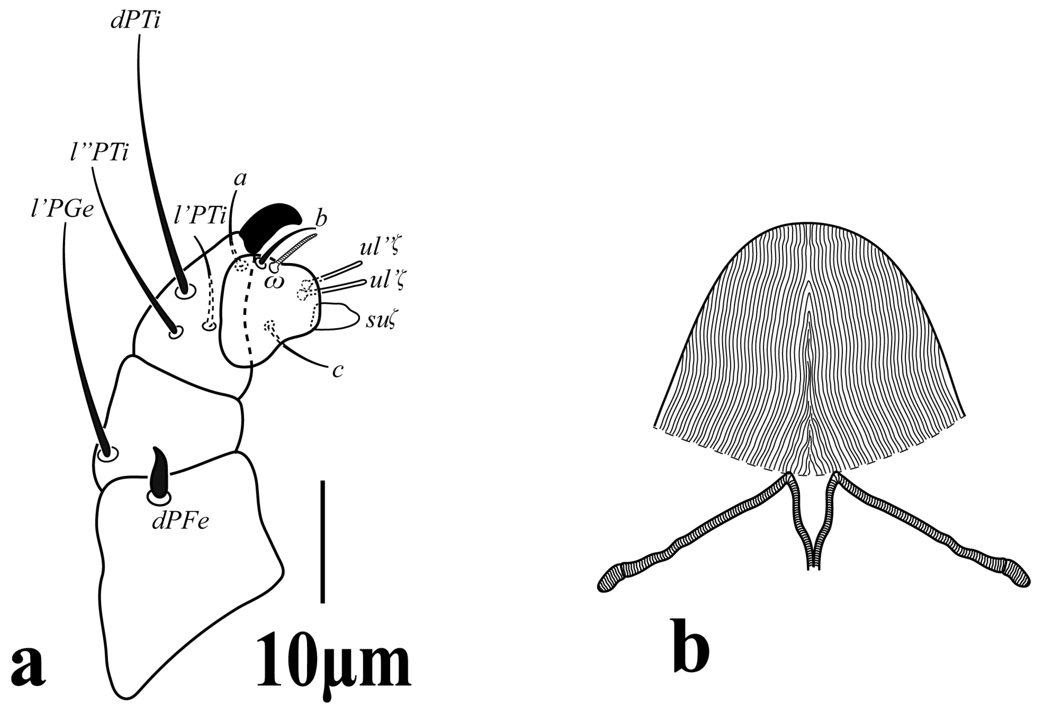 Diversity 16 00765 g008
