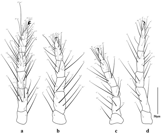Diversity 16 00765 g009