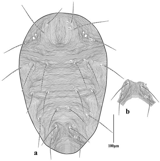 Diversity 16 00765 g010