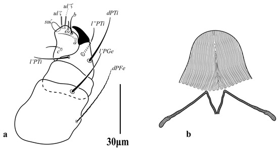 Diversity 16 00765 g012