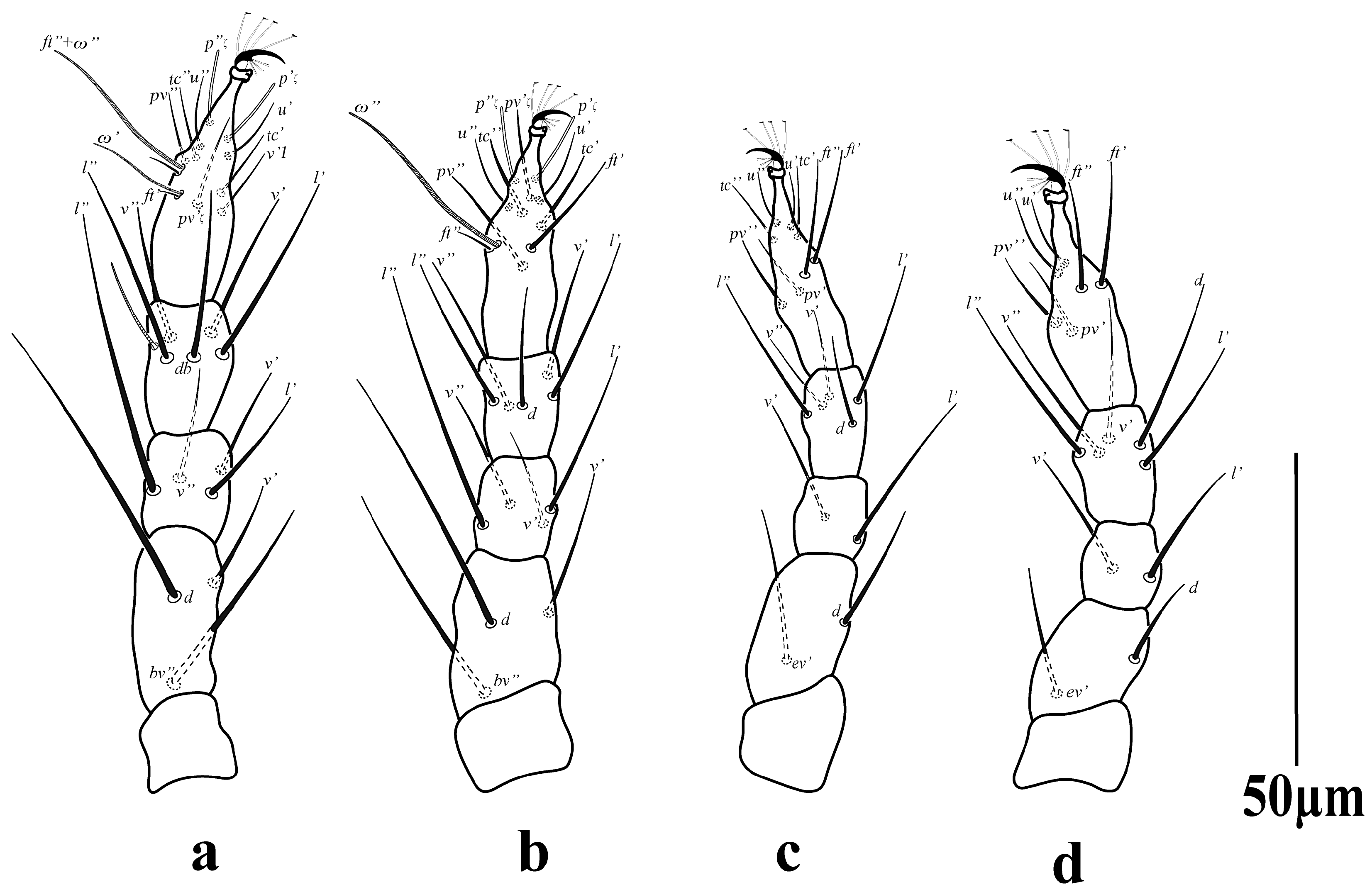 Diversity 16 00765 g017