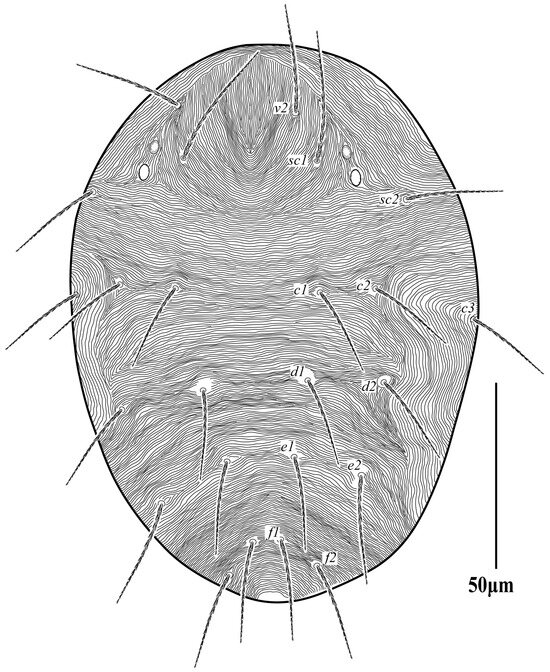 Diversity 16 00765 g018