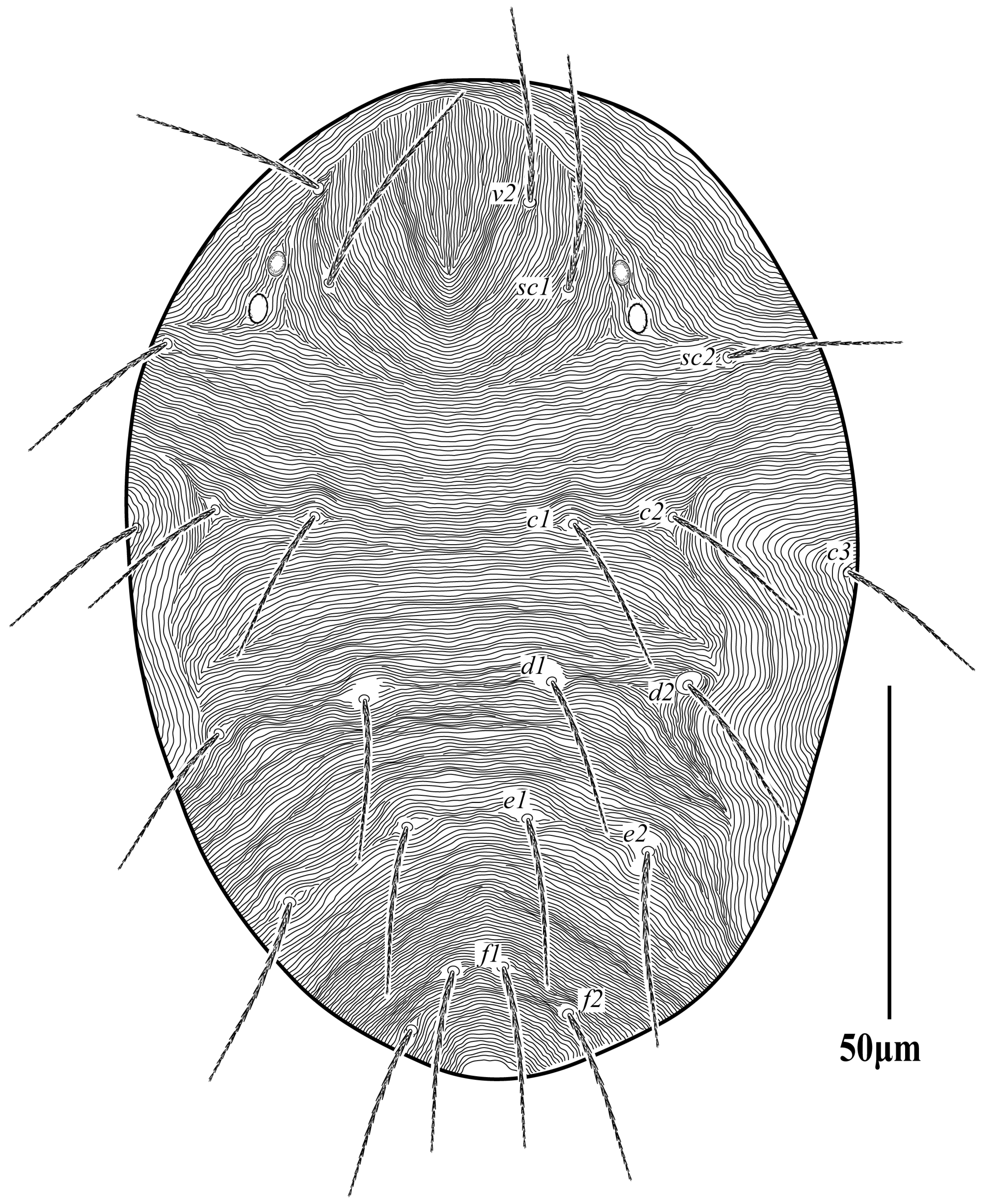 Diversity 16 00765 g018