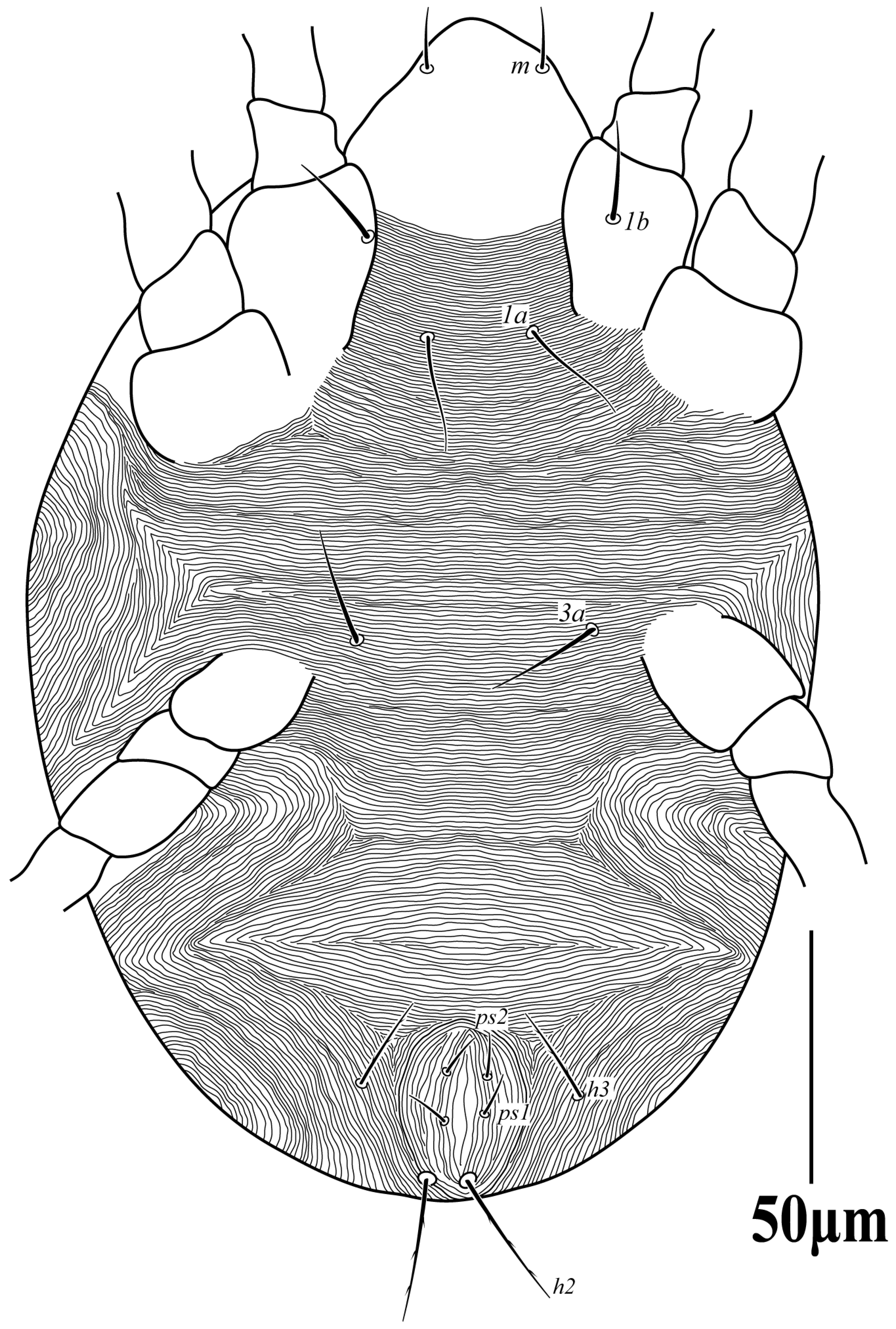 Diversity 16 00765 g019