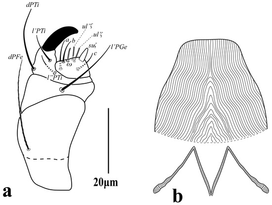 Diversity 16 00765 g020