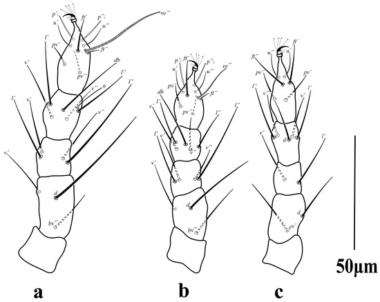 Diversity 16 00765 g021