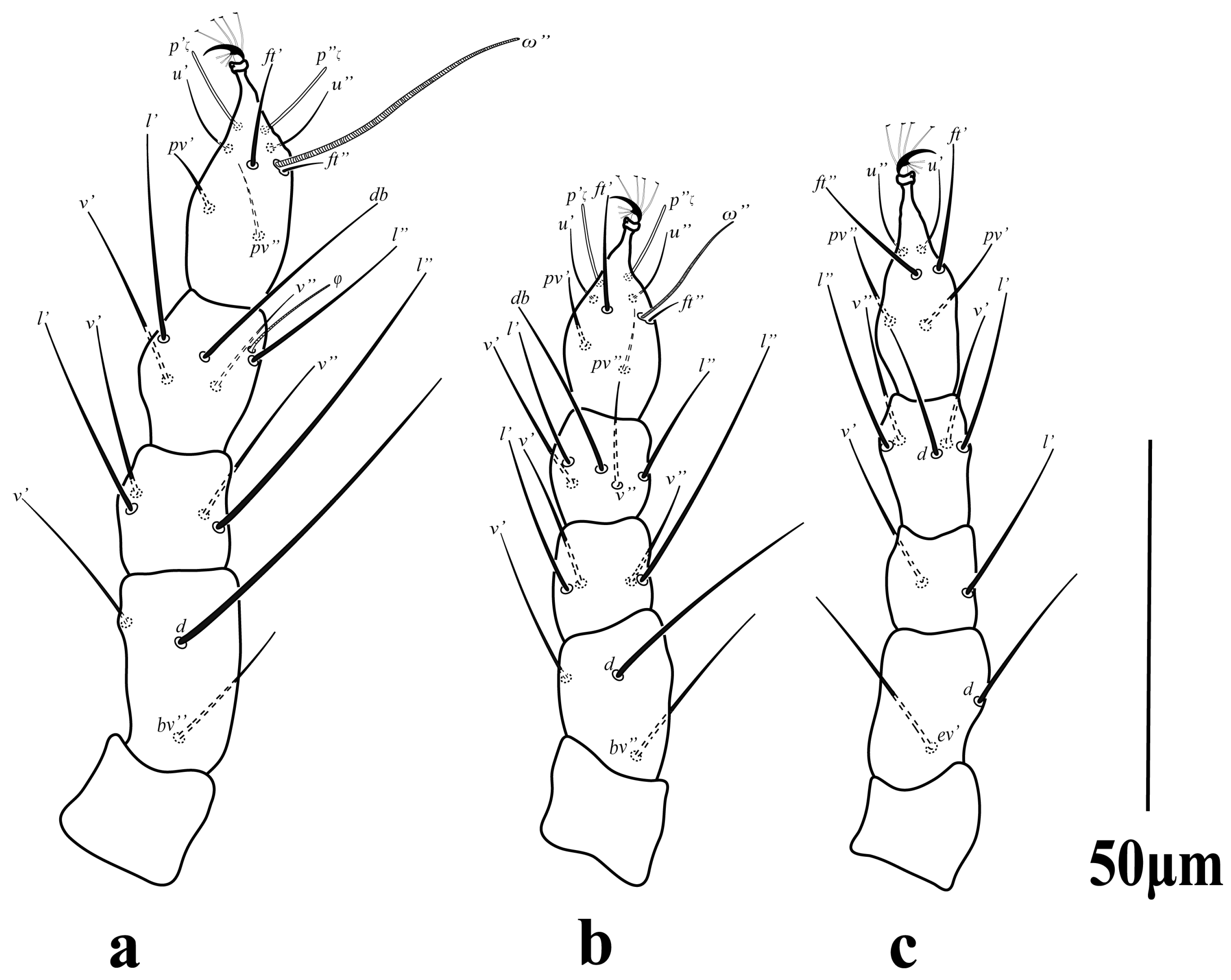 Diversity 16 00765 g021