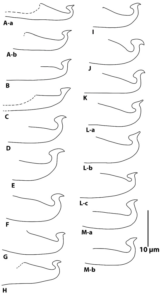 Diversity 16 00765 g022