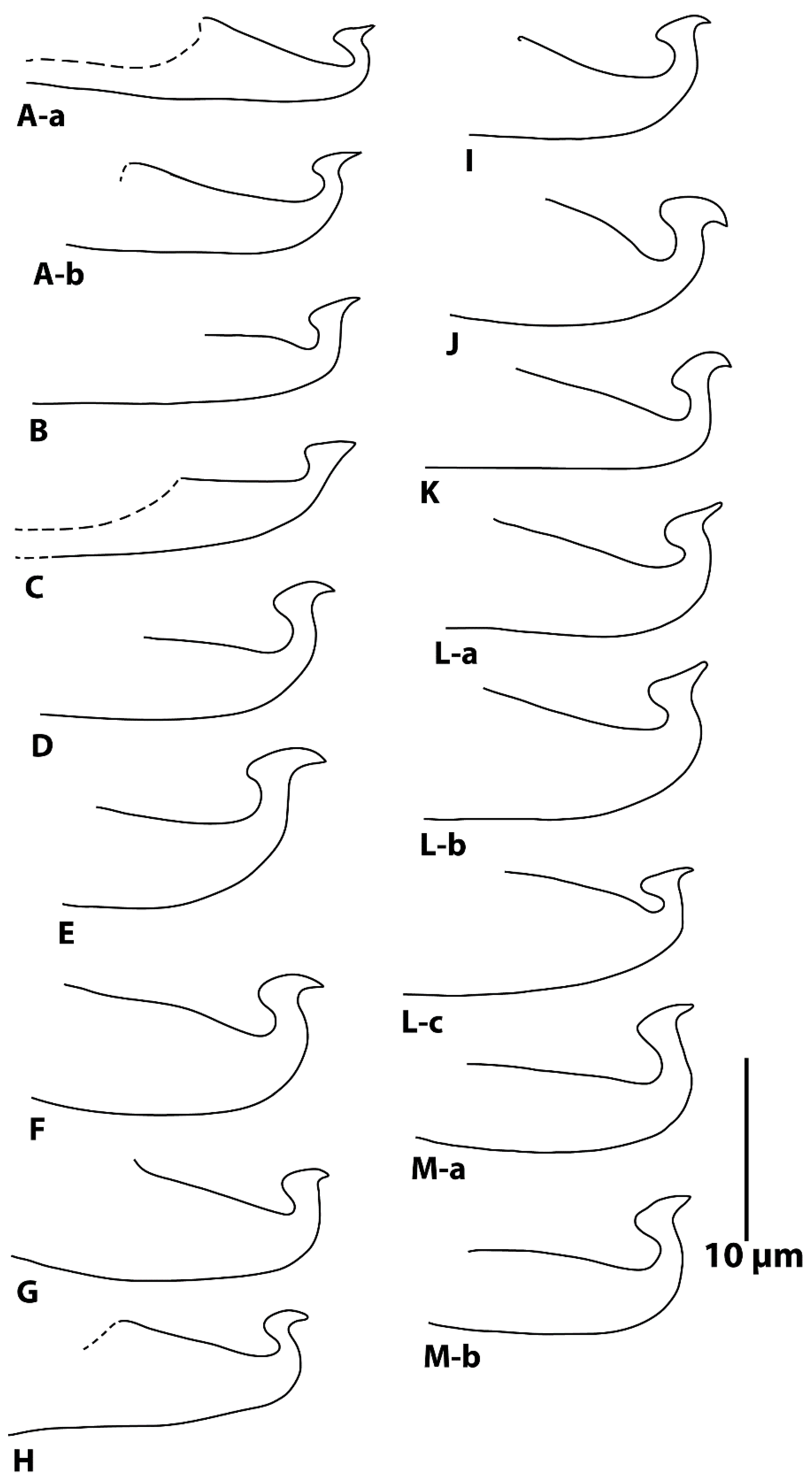 Diversity 16 00765 g022