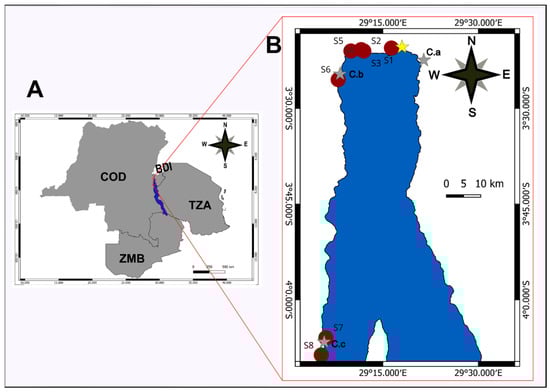 Diversity 17 00008 g001