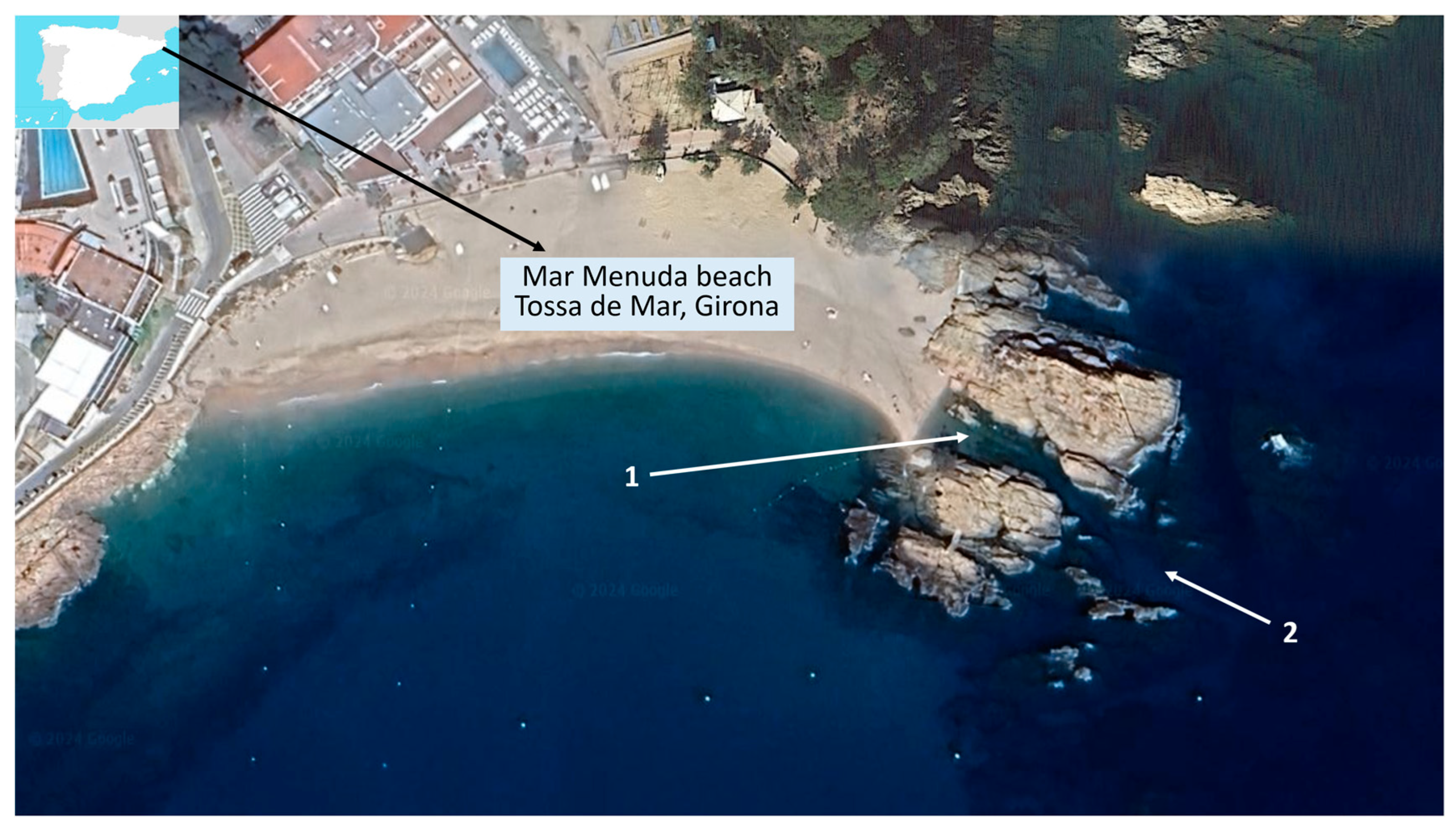 Diversity 17 00009 g001