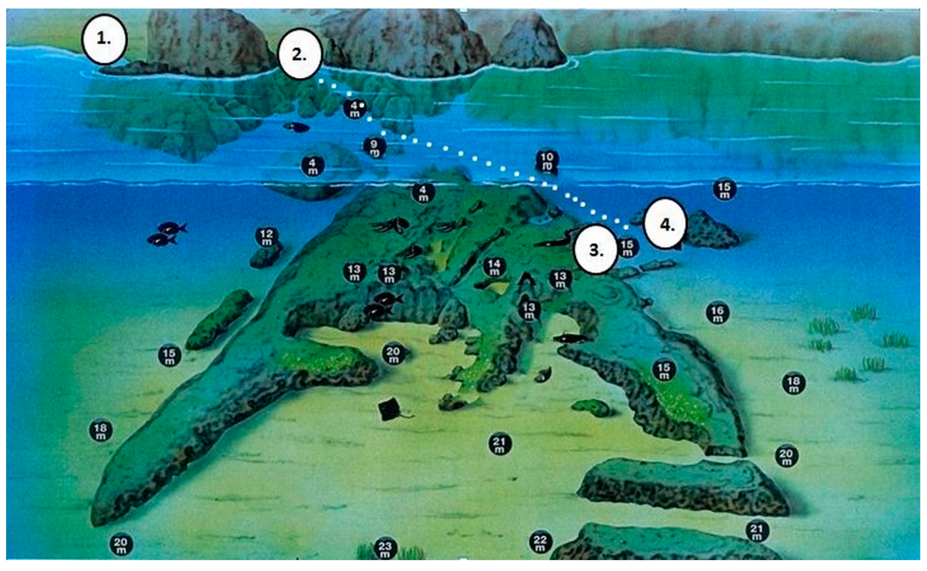 Diversity 17 00009 g002