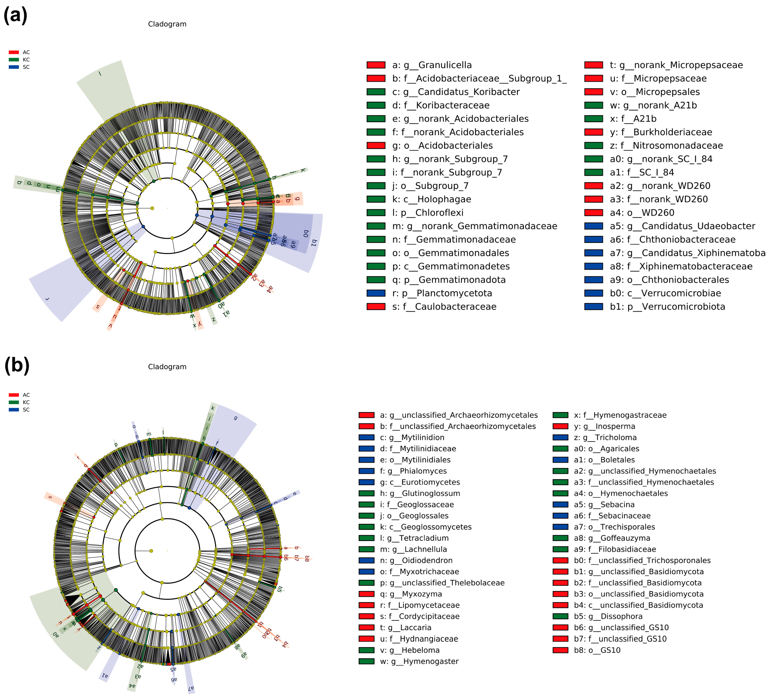 Diversity 17 00021 g007